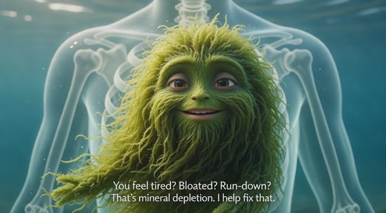 Sea Moss fixes mineral depletion